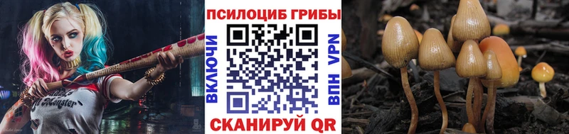 купить   Шелехов  MEGA сайт  Галлюциногенные грибы мухоморы 